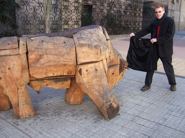 Bull
Bull
